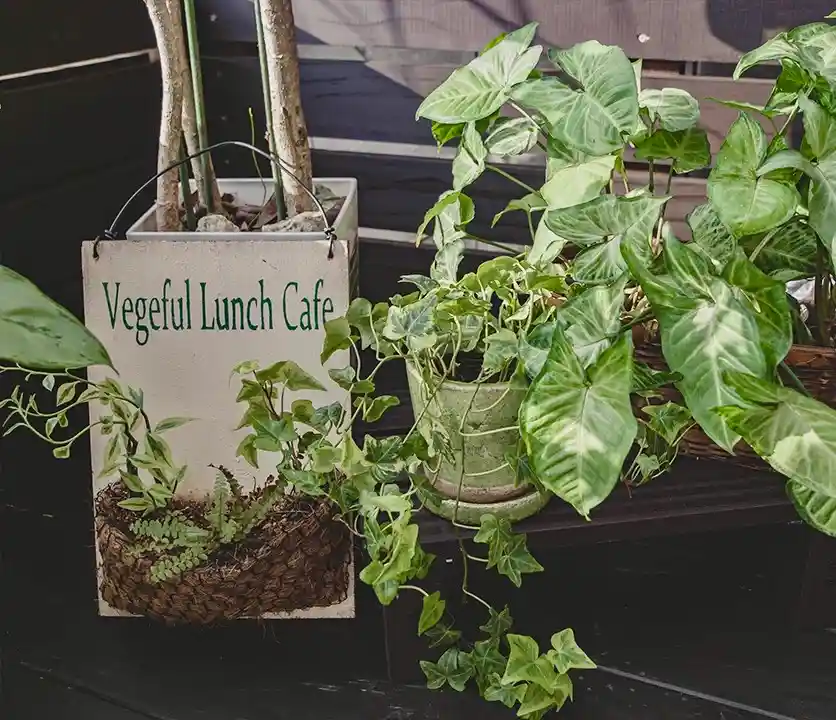ベジフルランチカフェ (Vegeful Lunch Cafe)