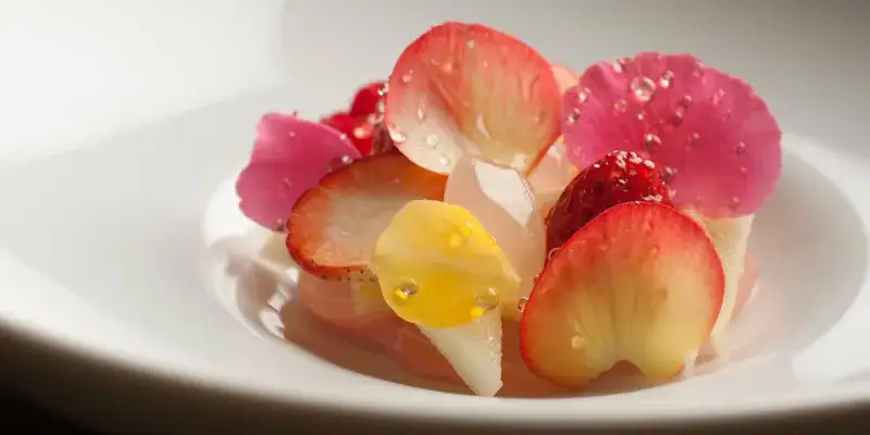 エディション・コウジ シモムラ