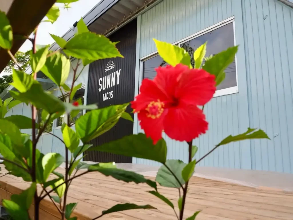 Sunny Tacos（サニータコス）