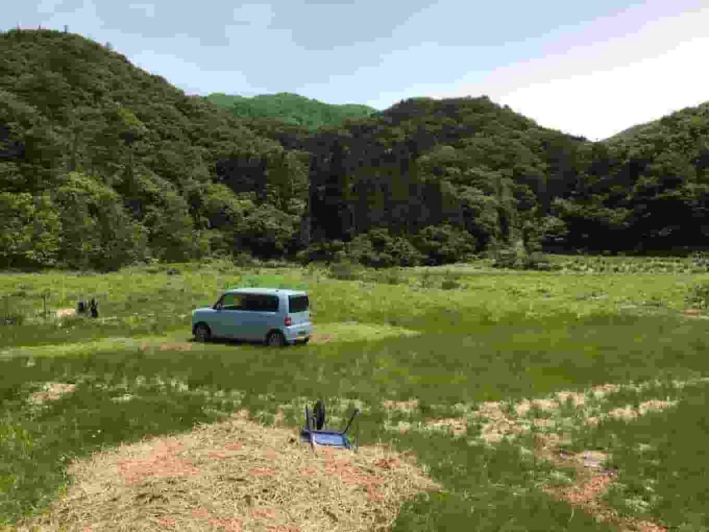 マガタニア(石臼荘)