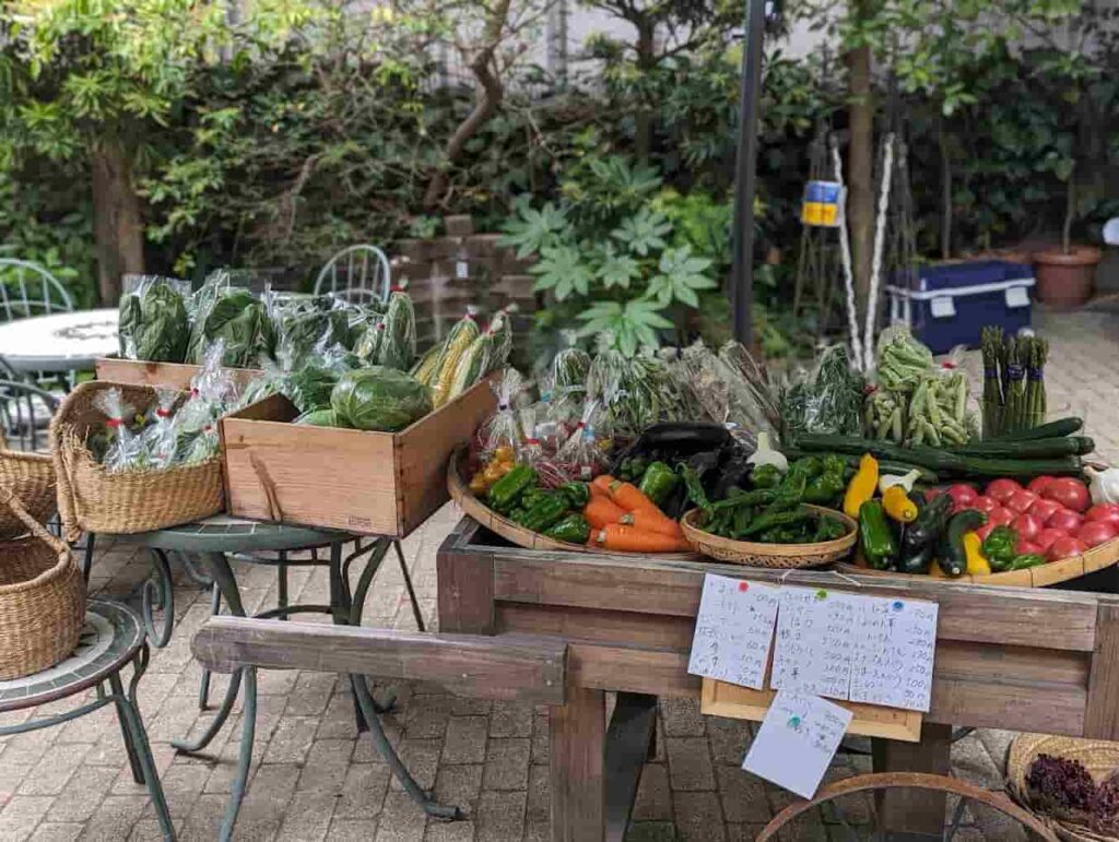 グリーンフィールド